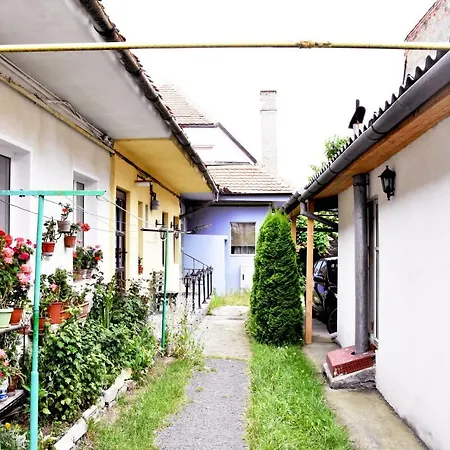 4freedom Central Flat *